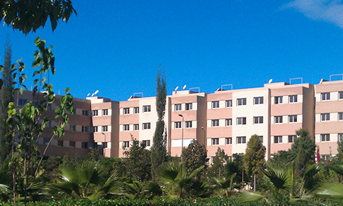 Appartements économiques - Dyar Nzaha